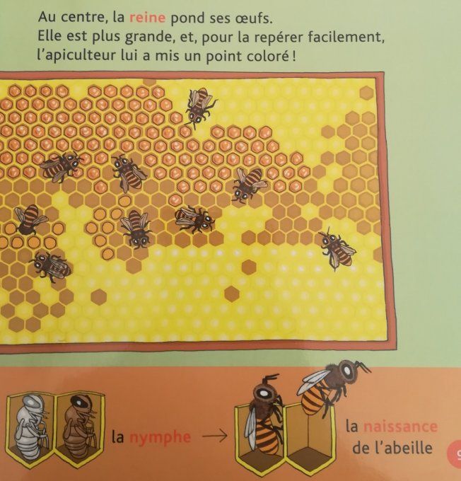 Mes p'tits docs, les abeilles