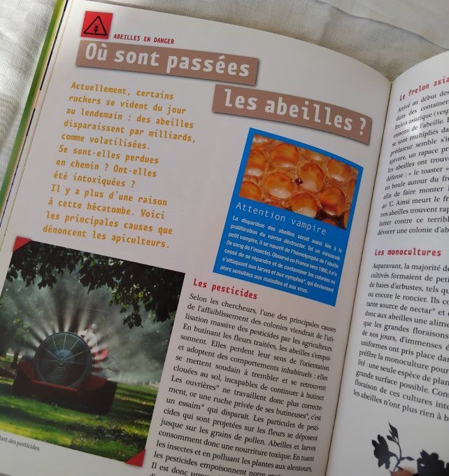 Les abeilles, de précieux insectes en danger