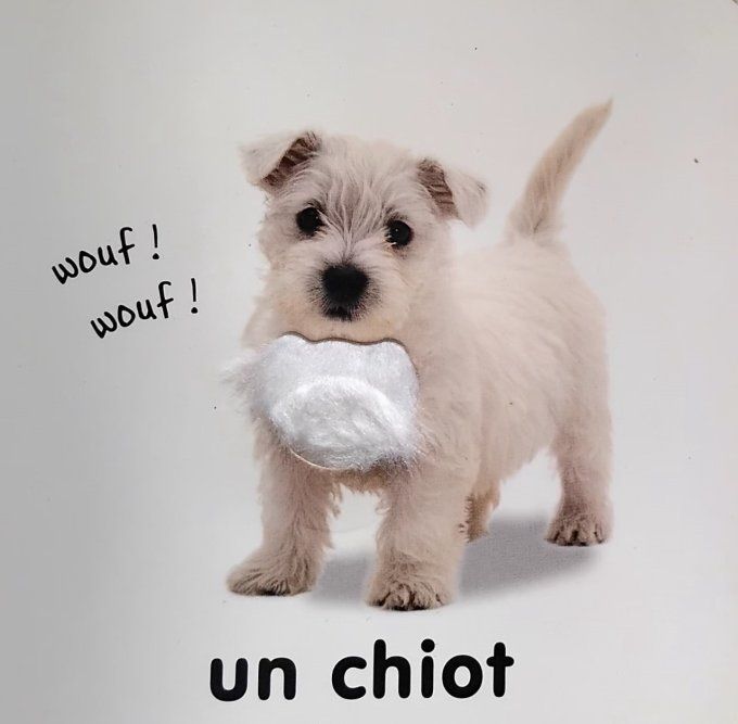 Les animaux à toucher 