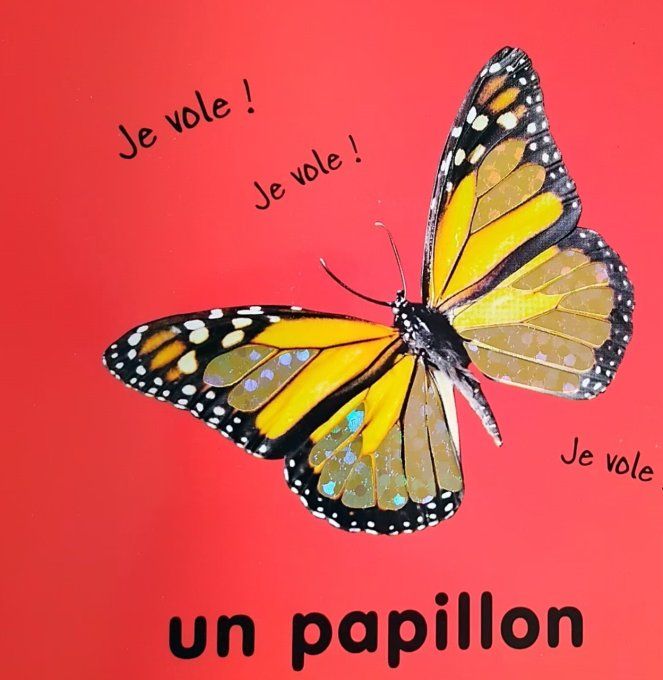 Les animaux à toucher 