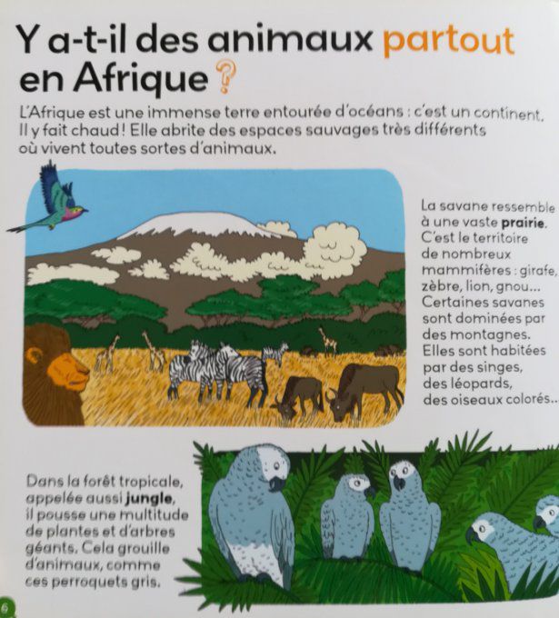 Mes p'tites questions, les animaux d'Afrique