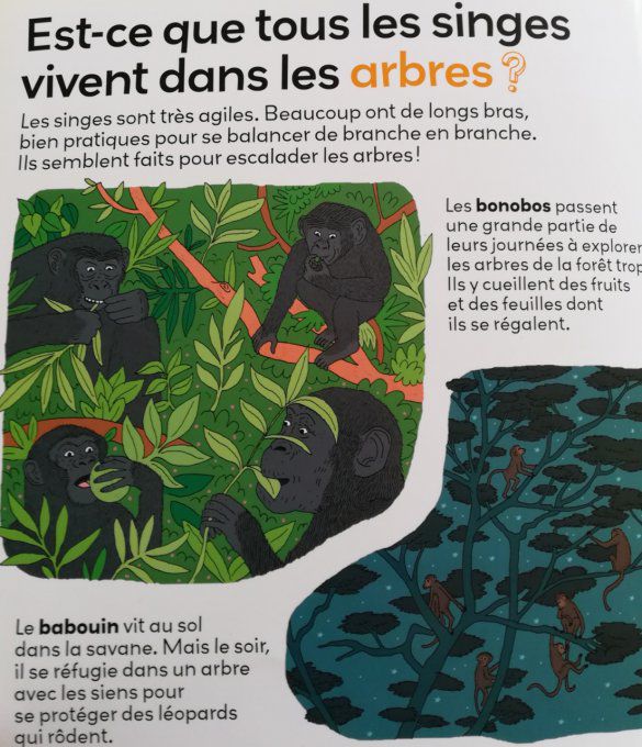 Mes p'tites questions, les animaux d'Afrique