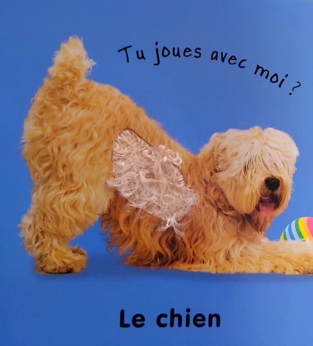 Les animaux de compagnie à toucher