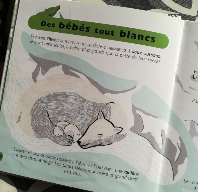 Les animaux de la banquise, mes petites encyclopédies Larousse