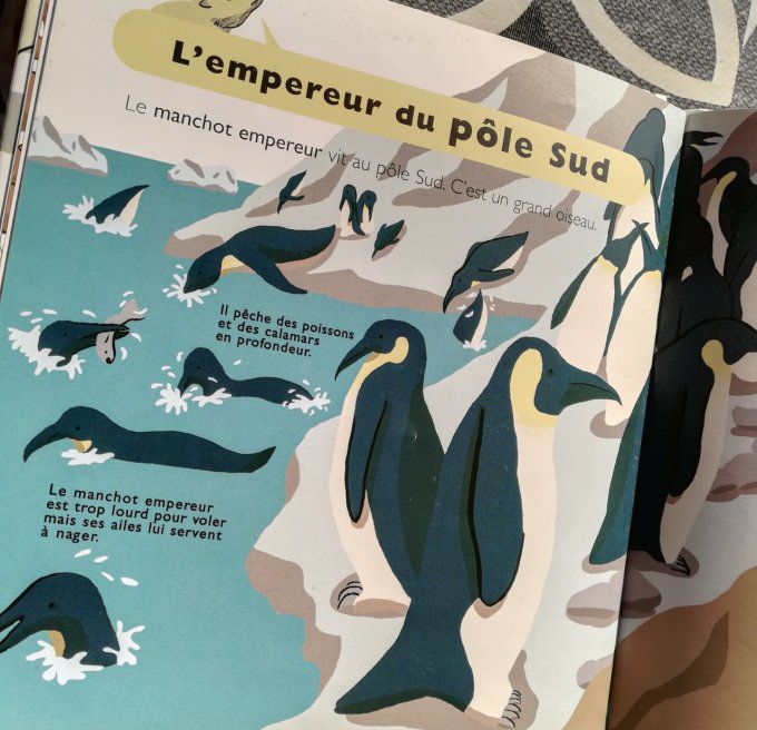 Les animaux de la banquise, mes petites encyclopédies Larousse