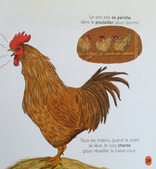 Les animaux de la ferme, mes petites encyclopédies Larousse