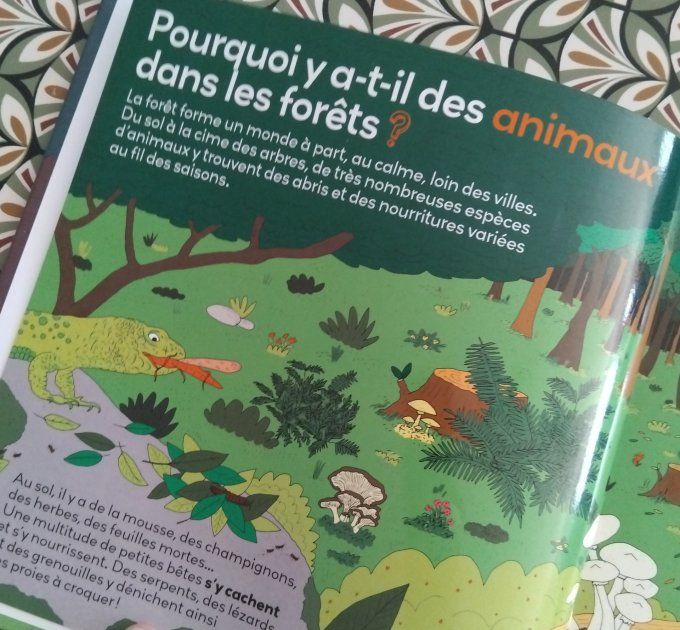 Les animaux de la forêt, la grande imagerie