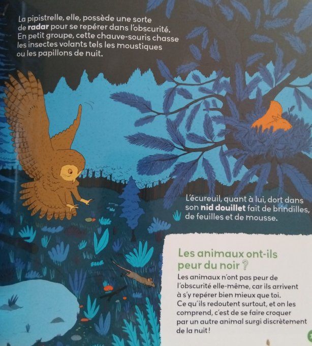 Mes p'tites questions les animaux de la forêt