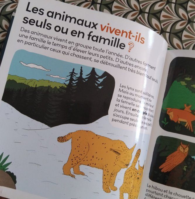 Les animaux de la forêt, mon petit guide nature