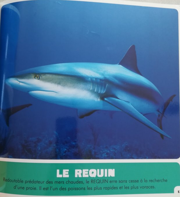 Les animaux de la mer, mon premier animalier