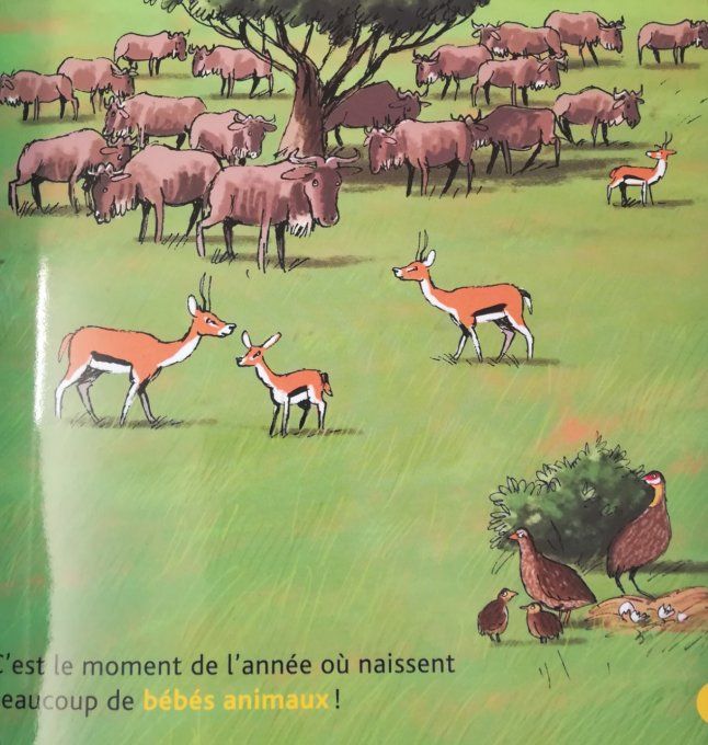 Mes p'tits docs, Les animaux de la savane