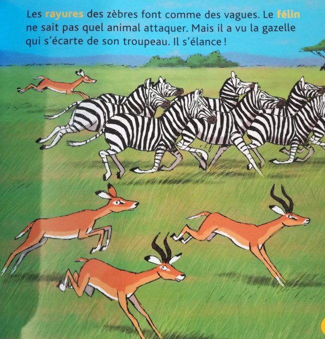 Mes p'tits docs, Les animaux de la savane