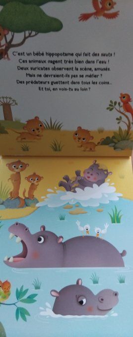 Les animaux de la savane