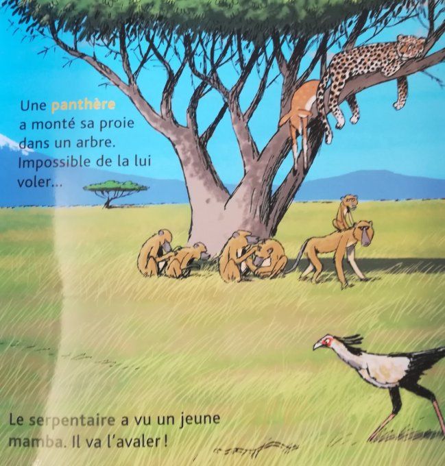 Mes p'tits docs, Les animaux de la savane