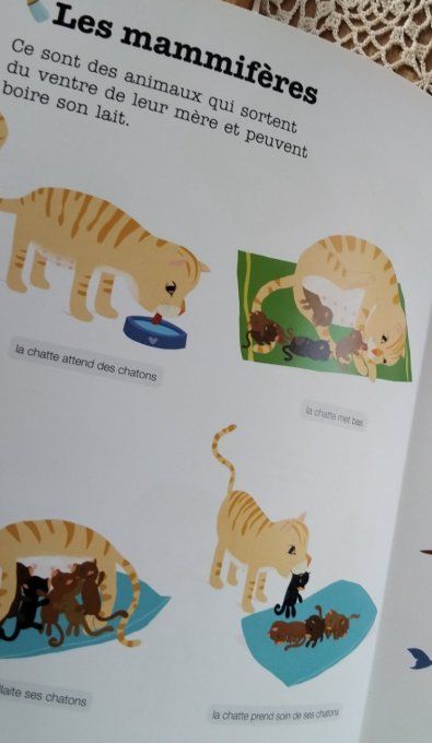 L'imagerie Milan les animaux