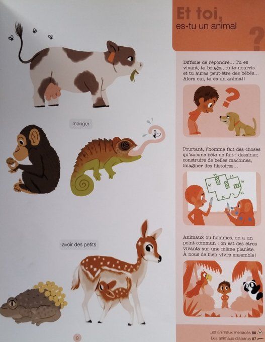 L'imagerie Milan les animaux