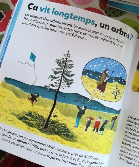 Mes p'tites questions, les arbres