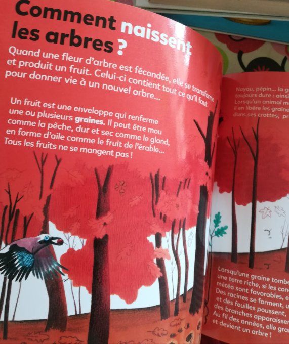 Mes p'tites questions, les arbres