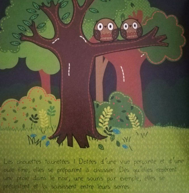 Graine d'écolo, Les bébés animaux