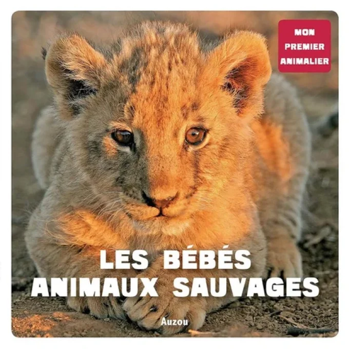 Les bébés animaux sauvages, mon premier animalier