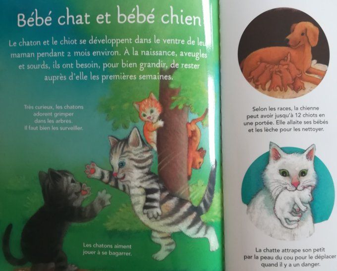 La petite imagerie, les bébés animaux