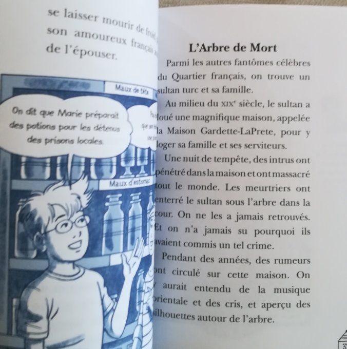 Les carnets de la cabane magique, les fantômes tome 18