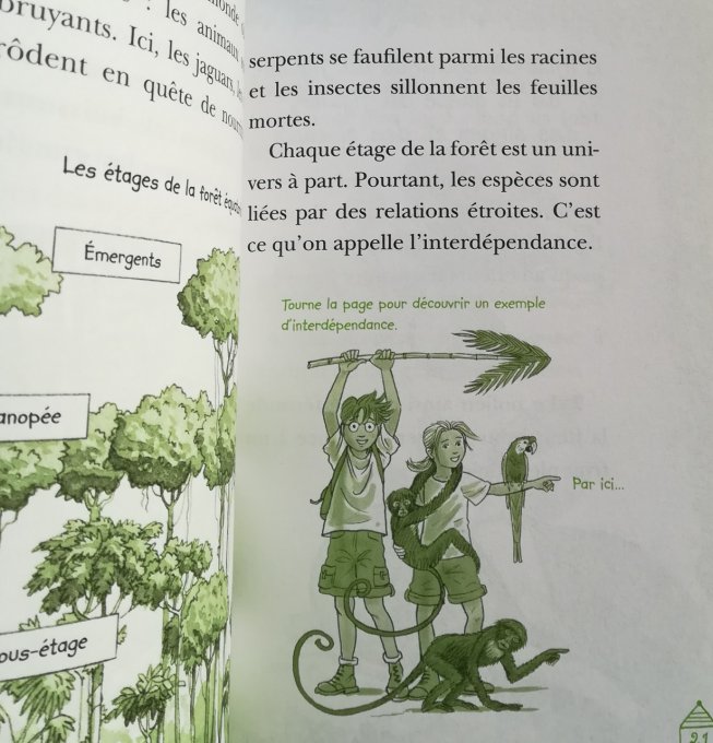 Les carnets de la cabane magique, les forêts tropicales