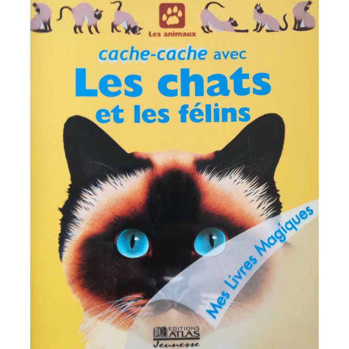 Cache-cache avec les chats et les félins