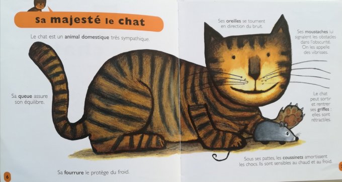 Les chats, mes petites encyclopédies Larousse