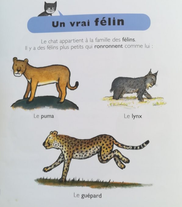 Les chats, mes petites encyclopédies Larousse