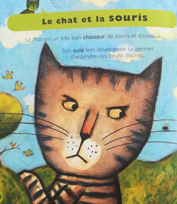 Les chats, mes petites encyclopédies Larousse