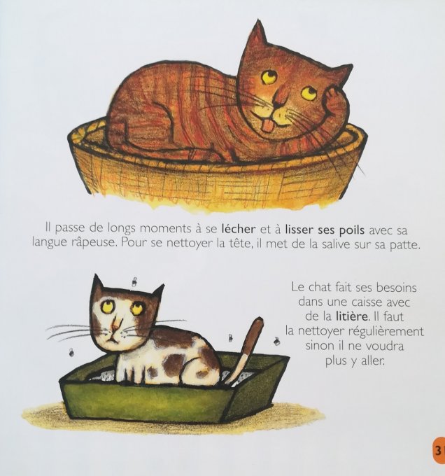 Les chats, mes petites encyclopédies Larousse