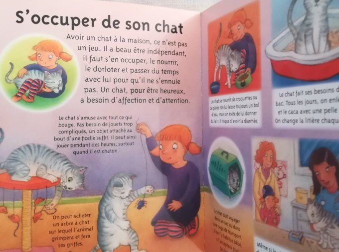 La petite imagerie, les chats