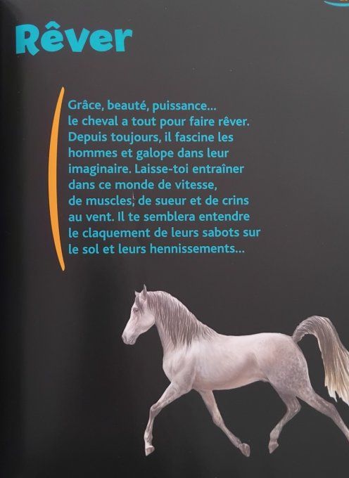 Les chevaux, c'est ma passion