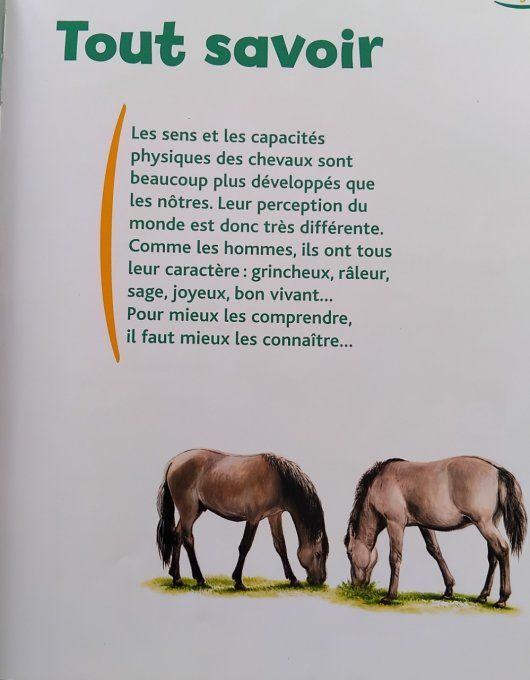 Les chevaux, c'est ma passion