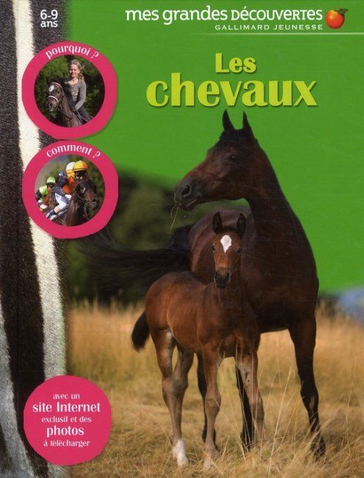 Les chevaux, mes grandes découvertes