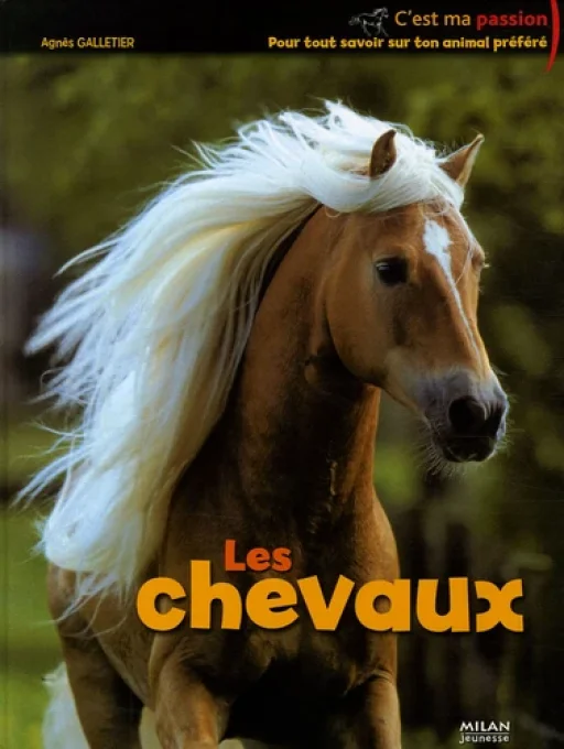 Les chevaux, c'est ma passion