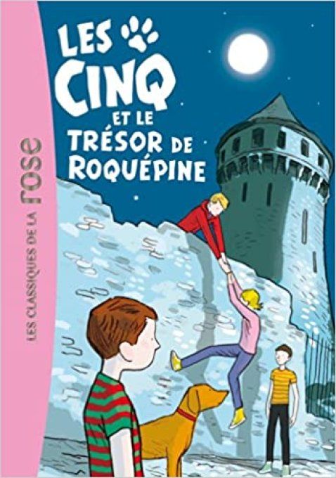 Les cinq et le trésor de Roquépine