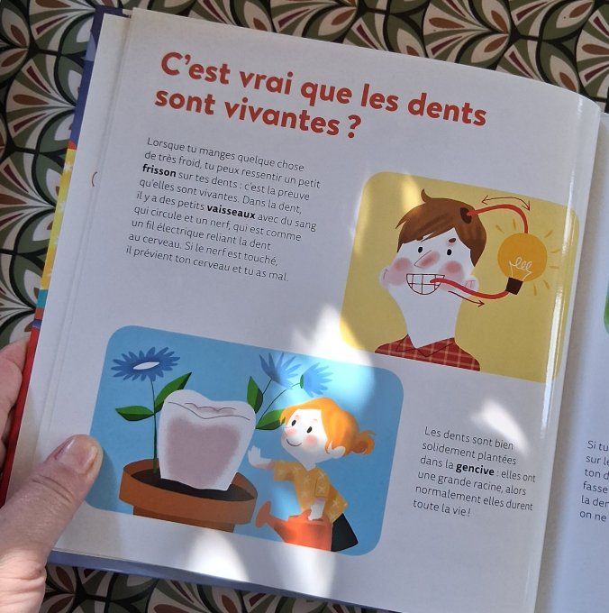 Mes p'tites questions les dents