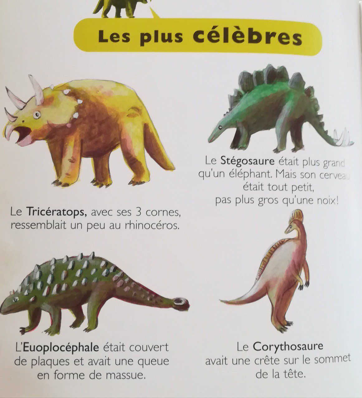 dinosaure - LAROUSSE