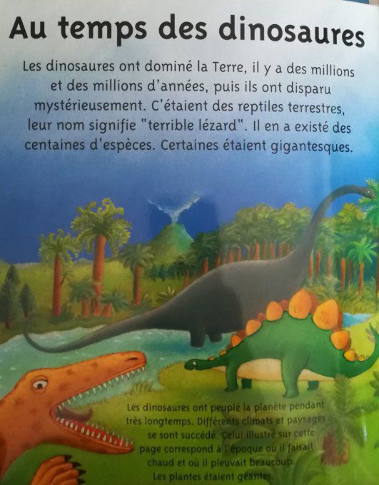 La petite imagerie, les dinosaures