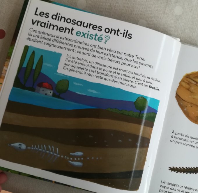 Mes p'tites questions, les dinosaures