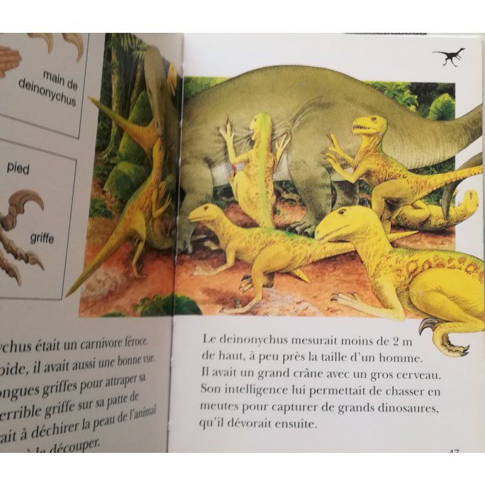 Les dinosaures, ma première encyclopédie