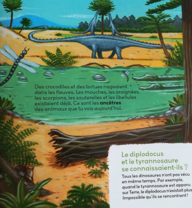 Mes p'tites questions, les dinosaures