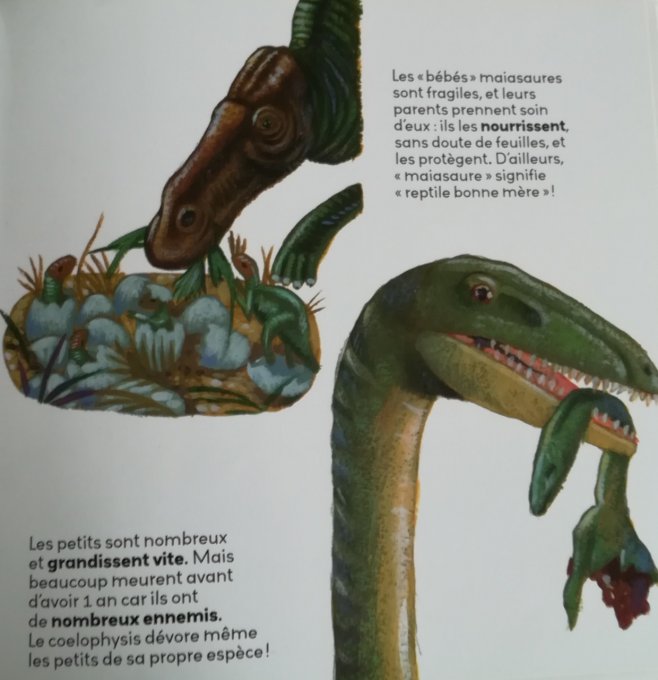 Mes p'tites questions, les dinosaures