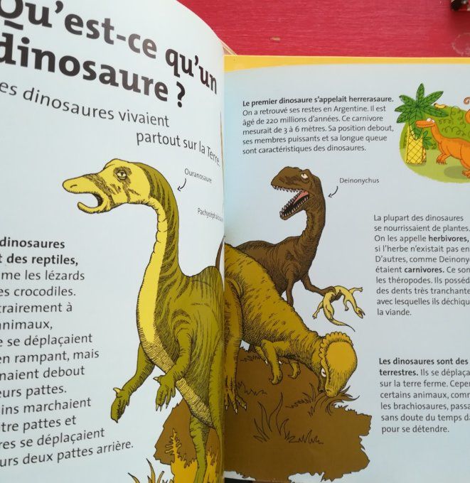 Les dinosaures Kaleidoc