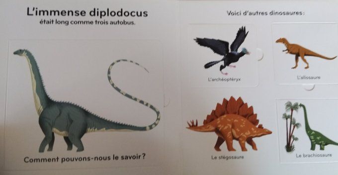 Les dinosaures mn imagier animé
