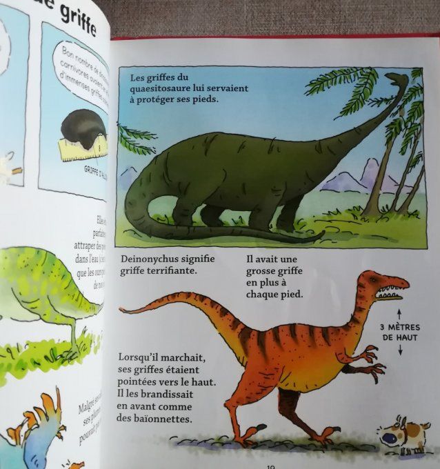 Les dinosaures, des surprise à tous les étages