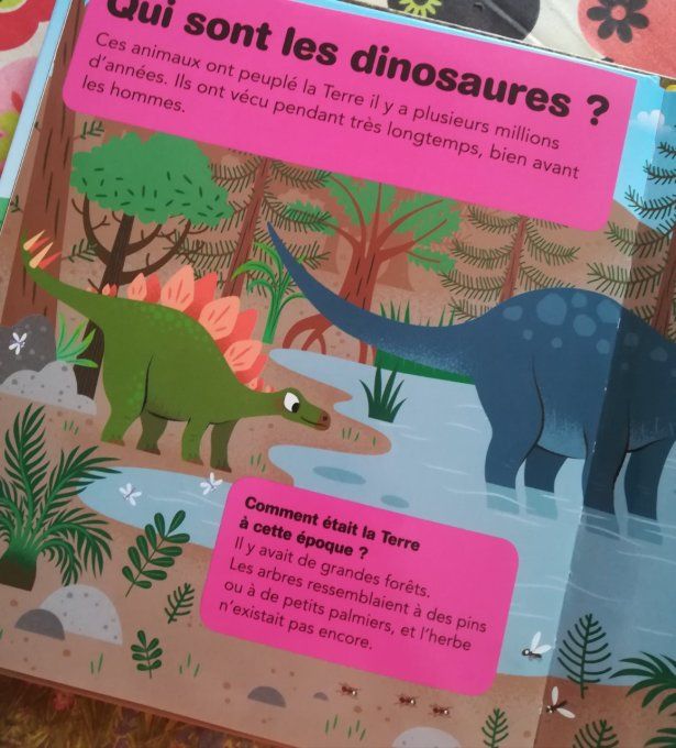 Mes premières questions réponses, les dinosaures