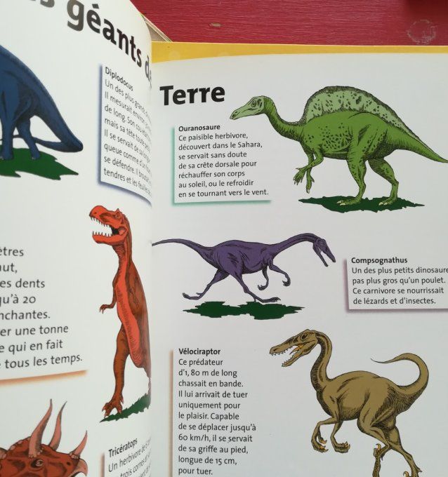 Les dinosaures Kaleidoc